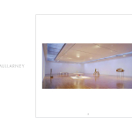 Progetto Catalogo Mostra Janet Mullarney