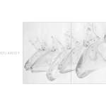 Progetto Catalogo Mostra Janet Mullarney