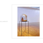 Progetto Catalogo Mostra Janet Mullarney