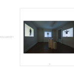 Progetto Catalogo Mostra Janet Mullarney