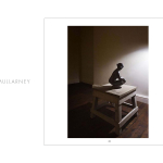 Progetto Catalogo Mostra Janet Mullarney